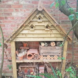 Bug Hotel Update